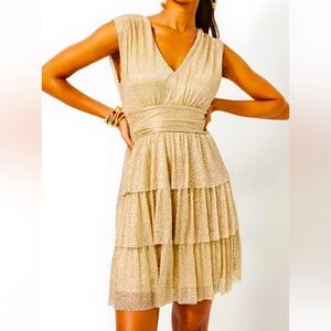 NWT Lilly Pulitzer dress